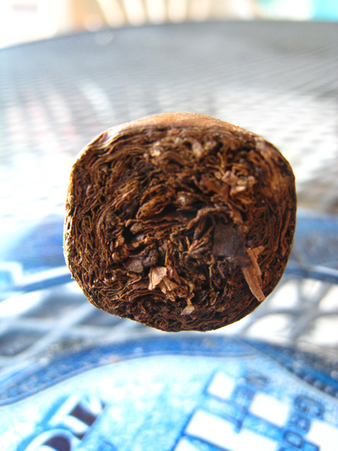 CAO La Traviata