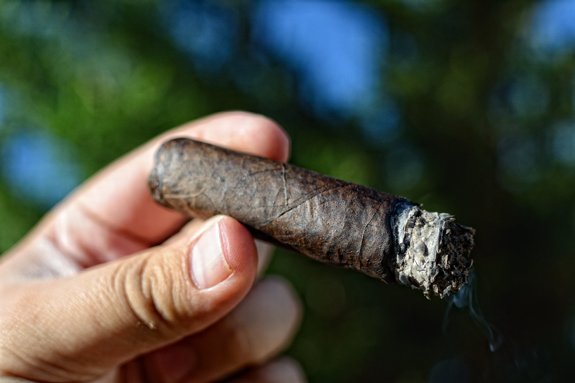 el_primer_mundo_criollo_maduro_7 El Primer Mundo Criollo Maduro