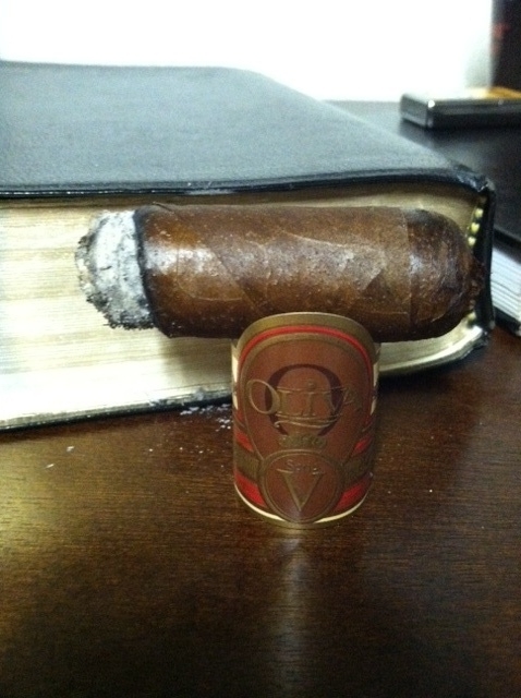 Oliva Photo 4