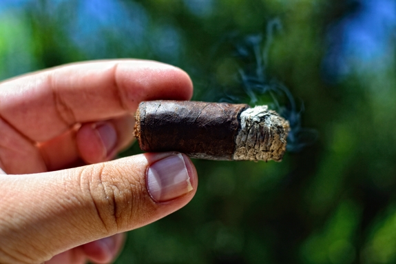 La Aurora 107 Maduro