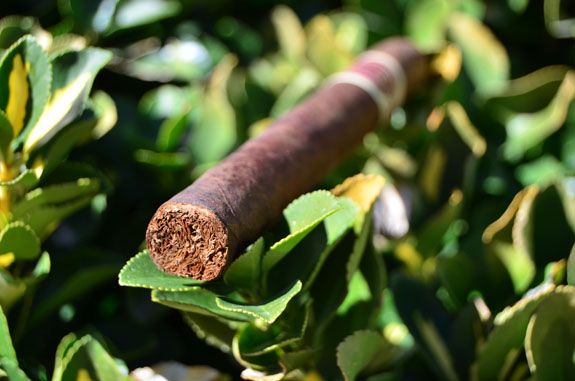 JD Howard Reserve 