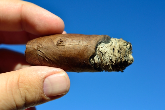 Viaje Holiday Blend Christmas Tree