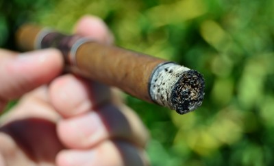Kuuts Cigars- Miro Lancero