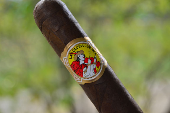 La Gloria Cubana Domino 758 (Band)