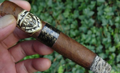 Viaje Black 50/50