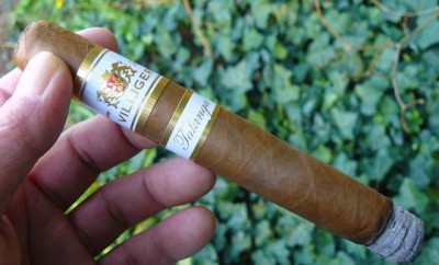 Villiger Talanga