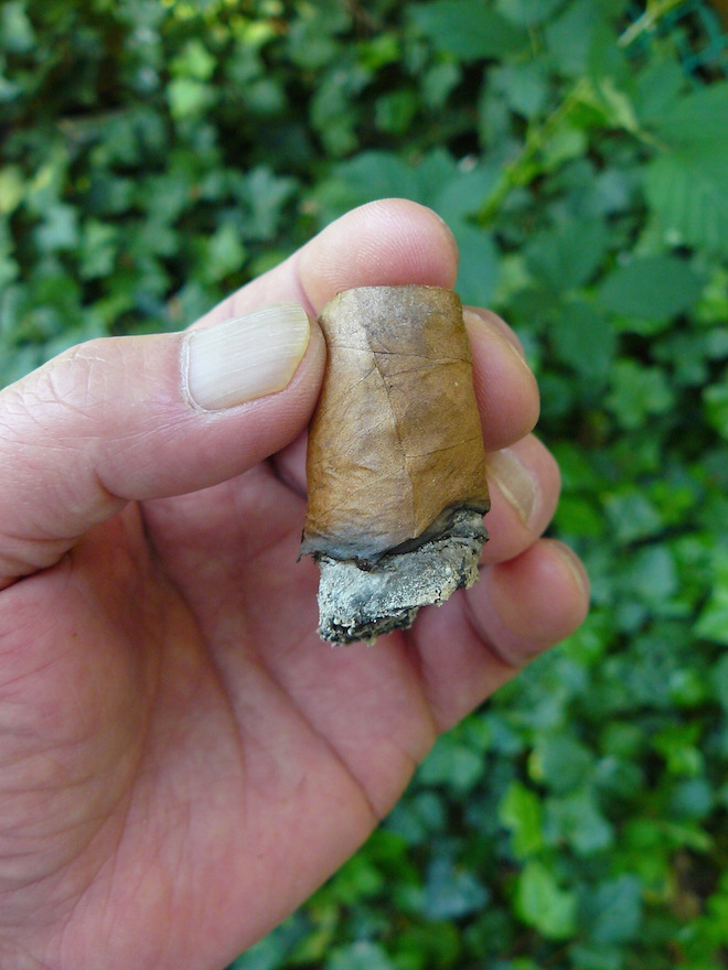 Inca Secret Blend
