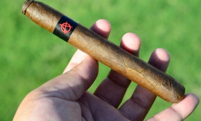 Tatuaje Anarchy