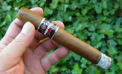 Nomad Esteli Lot 8613