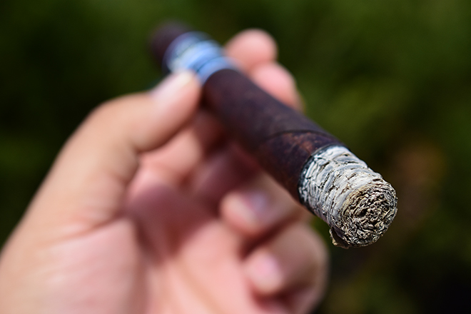 La Flor Dominicana LFD La Nox