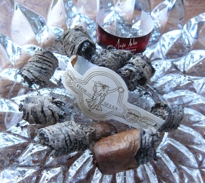 Maya Selva Flor de Selva No. 20 LE Lancero