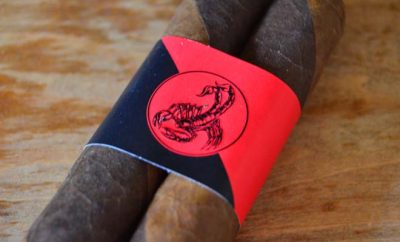 Camacho Double Shock Limited Edition 2014