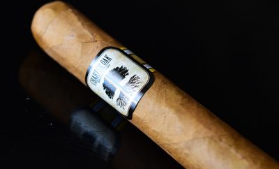 Foundation Cigar Company Charter Oak Shade