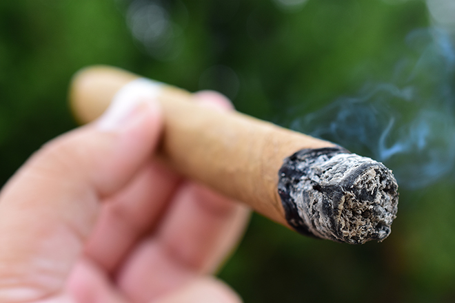 Foundation Cigar Company Charter Oak Shade