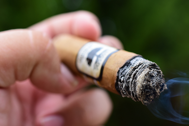 Foundation Cigar Company Charter Oak Shade