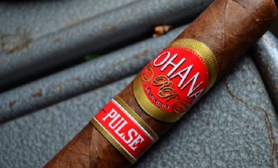 Ohana Pulse