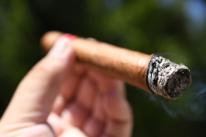 HVC Cigars La Rosa 520 Reyes