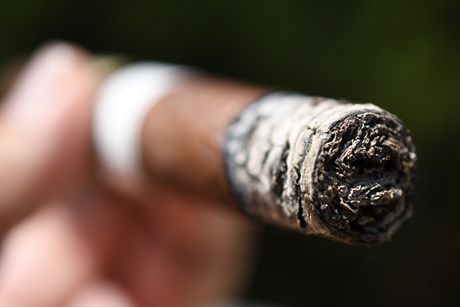 La Palina Nicaragua Oscuro