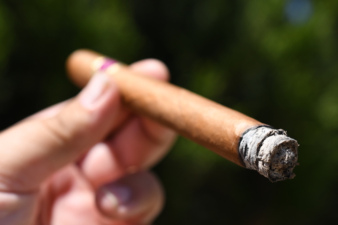 Warped Cigars Maestro Del Tiempo