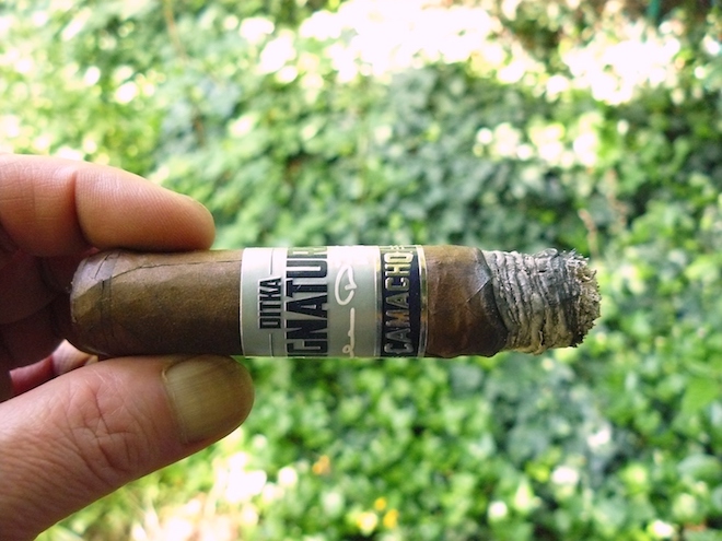 Camacho Ditka Signature