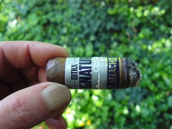Camacho Ditka Signature