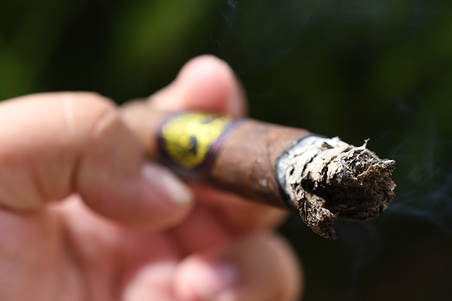 Ventura Cigar Company Archetype Axis Mundi