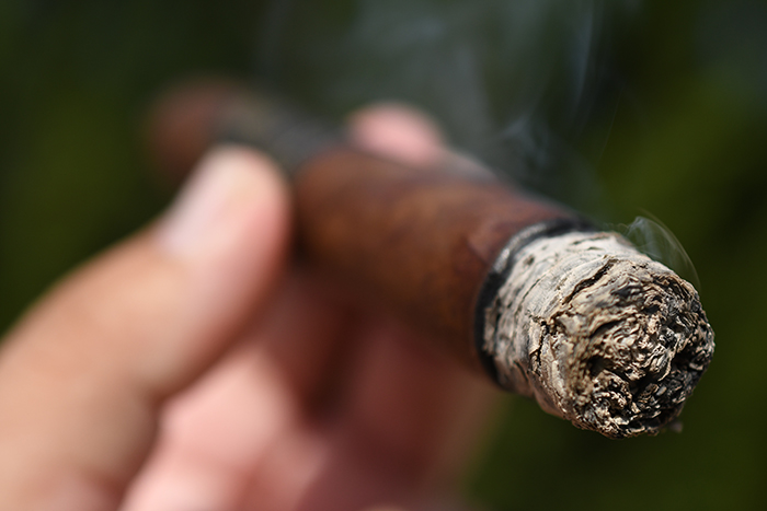 Davidoff Winston Churchill Late Hour