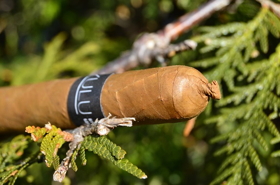 Zulu Zulu Mas Paz Black