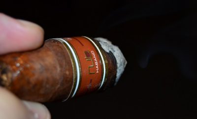 Oliva Cigar Co. - Nub Habano
