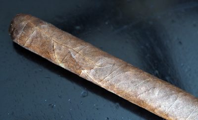 Warped Lirio Rojo