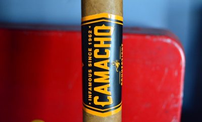 Camacho BxP Connecticut