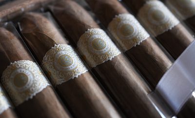 Warped Flor de Valle Seleccion de Valle