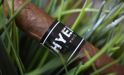 Black Works Studio Hyena